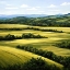 Picture of FERTILE LANDS