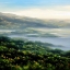 Picture of FOGGY LAGOON