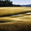 Picture of GOLDEN MARSHES