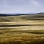 Picture of HIGH PRAIRIE