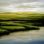 Picture of MARSHES AND MOORS
