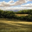 Picture of MEADOW AND HEDGEROW