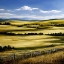 Picture of RANGELAND