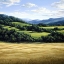 Picture of SCENIC PASTURE