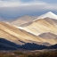 Picture of SNOW CAPPED