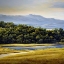 Picture of STREAM BESIDE THE HEDGROW