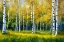 Picture of BIRCH GROVE 2