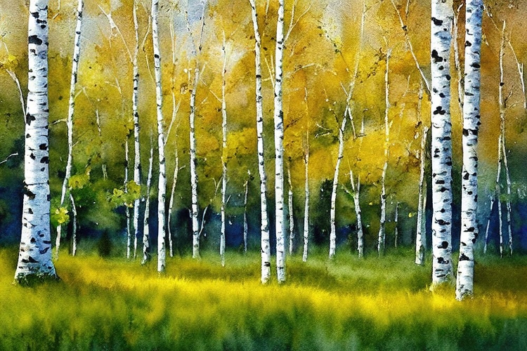 Picture of BIRCH GROVE 2