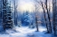 Picture of FOREST CLEARING IN WINTER