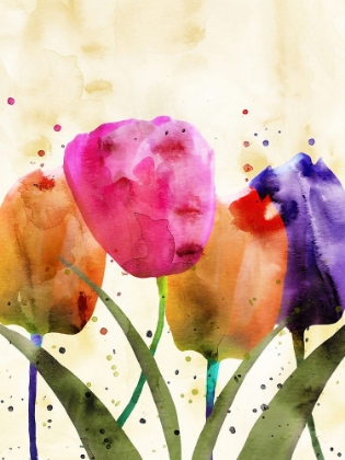 Picture of EVERYDAY TULIPS