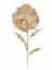 Picture of COFFEE HYDRANGEA II