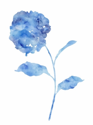 Picture of AZURE HYDRANGEA I