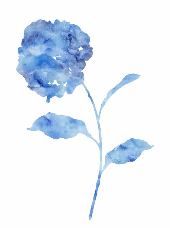 Picture of AZURE HYDRANGEA I