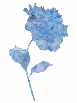 Picture of AZURE HYDRANGEA II