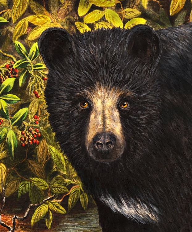 Picture of BLACK BEAR STREAM (DETAIL)