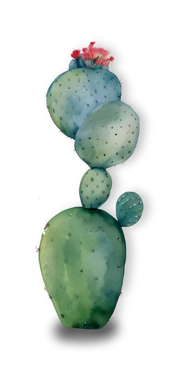 Picture of CACTUS BRANCH