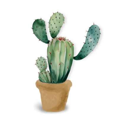 Picture of CACTUS POT I