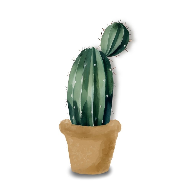 Picture of CACTUS POT II