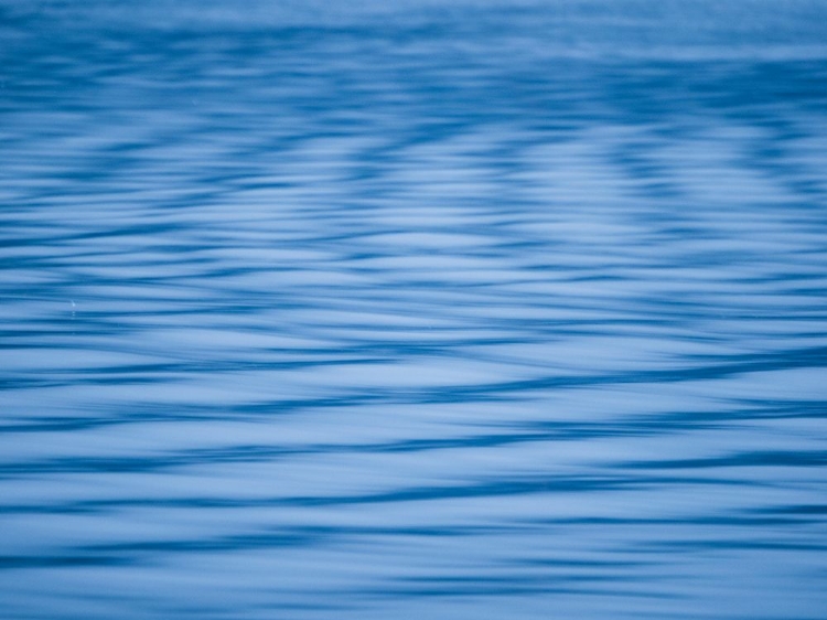 Picture of RIPPLES ON WATER ABSTRACT.