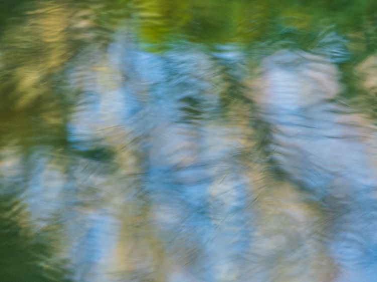 Picture of RIPPLED REFLECTION IN POND