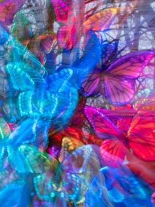 Picture of ARRANGEMENT OF COLORFUL ARTIFICIAL BUTTERFLIES.
