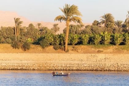Picture of SCENIC SAILING ON THE NILE. SUNSET AT LUXOR-EGYPT.