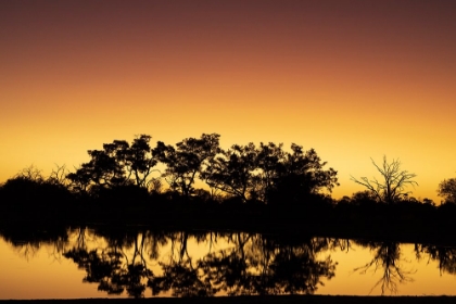 Picture of COLORFUL SUNSET AT WATERING HOLE. CAMELTHORN LODGE. HWANGE NATIONAL PARK. ZIMBABWE.