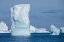 Picture of ANTARCTICA-SOUTHERN OCEAN-SOUTH ORKNEY ISLANDS-CORONATION ISLAND-ICEBERG BAY.