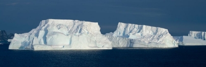 Picture of ANTARCTICA-SOUTHERN OCEAN-SOUTH ORKNEY ISLANDS-CORONATION ISLAND-ICEBERG BAY.