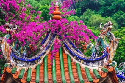 Picture of DRAGON ROOF-ZHONGDE TEMPLE-XIAMEN-FUJIAN PROVINCE-CHINA