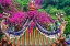 Picture of DRAGON ROOF-ZHONGDE TEMPLE-XIAMEN-FUJIAN PROVINCE-CHINA