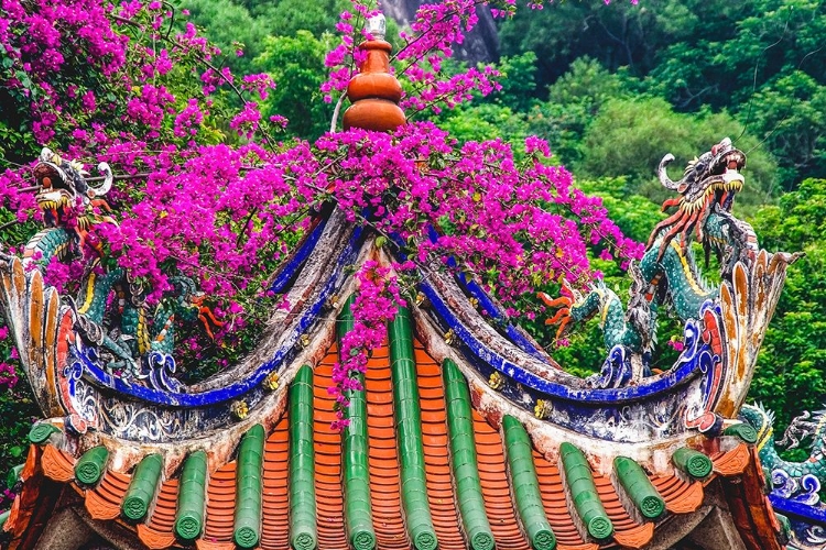 Picture of DRAGON ROOF-ZHONGDE TEMPLE-XIAMEN-FUJIAN PROVINCE-CHINA