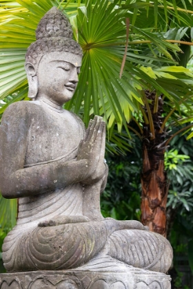 Picture of INDONESIA-BALI. BUDDHA STATUE WITH GREEN PALMS.