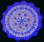 Picture of BLUE POTTERY PLATE-MADABA-JORDAN.