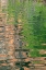 Picture of WESTERN AUSTRALIA-KIMBERLEY-BALANGGARRA COUNTRY-KING GEORGE RIVER. RIVER REFLECTION.