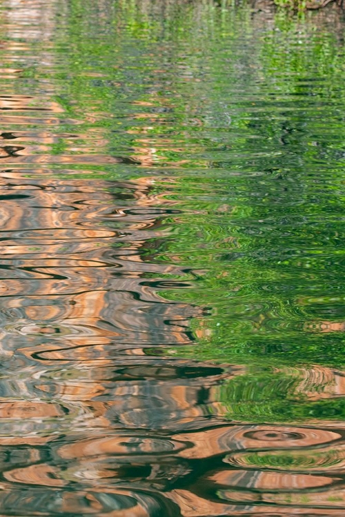 Picture of WESTERN AUSTRALIA-KIMBERLEY-BALANGGARRA COUNTRY-KING GEORGE RIVER. RIVER REFLECTION.