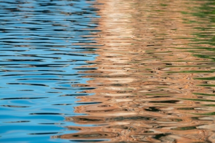 Picture of WESTERN AUSTRALIA-KIMBERLEY-BALANGGARRA COUNTRY-KING GEORGE RIVER. RIVER REFLECTION.