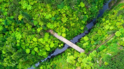 Picture of RETARUKE-NEW ZEALAND. THE BRIDGE TO NOWHERE IS A UNIQUE REMOTE DESTINATION.