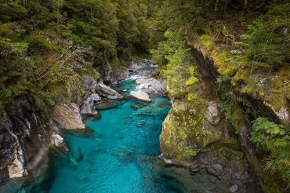 Picture of MAKARORA-NEW ZEALAND. THE BLUE POOLS OF MAKARORA OFFER ENTICING BLUE WATERS TO SWIM IN.