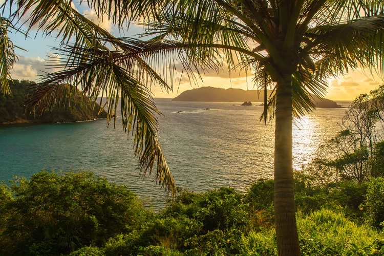 Picture of TOBAGO. SUNRISE ON ISLAND AND OCEAN.