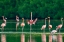 Picture of TRINIDAD-CARONI SWAMP. AMERICAN FLAMINGOS IN SWAMP.
