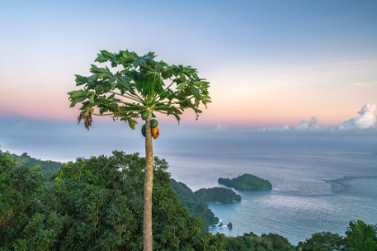 Picture of TRINIDAD. COAST AND OCEAN AT SUNRISE.