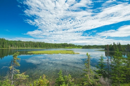 Picture of CANADA-ONTARIO-LONGLAC. CLOUDS AND WETLAND IN A BOREAL FOREST.