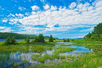 Picture of CANADA-ONTARIO. CLOUDS AND WETLAND AT LAKE NIPIGON.
