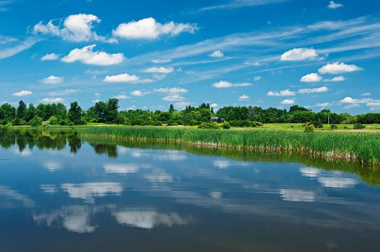 Picture of CANADA-ONTARIO-THOUSAND ISLANDS. CLOUD REFLECTION IN ST. LAWRENCE RIVER.