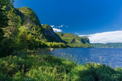 Picture of CANADA-QUEBEC-PARC NATIONAL DU FJORD-DU-SAGUENAY. FORESTED CLIFFS ALONG THE SAGUENAY RIVER.