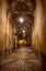 Picture of HALLWAY AT CESKY KRUMLOV CASTLE IN THE CZECH REPUBLIC