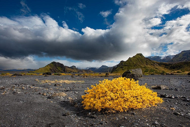 Picture of BEAUTIFUL VALLEY OF THOR REACHES INTO THE HIGHLANDS OF ICELAND. FALL COLOR LIVENS THE LANDSCAPE.