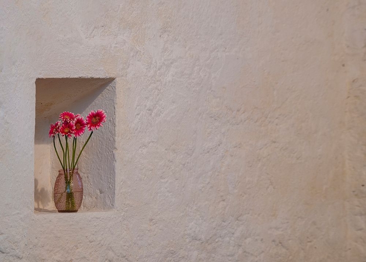 Picture of FLORAL TRIBUTE GROWING A NICHE IN THE STONE WALLS OF BALLINTUBBER ABBEY-COUNTY MAYO-IRELAND.