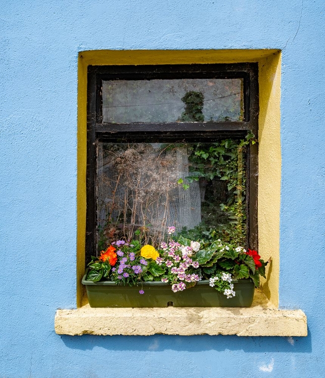 Picture of WINDOW GREETS VISITORS IN THE VILLAGE OF CONG-CONNACHT COUNTY-IRELAND.